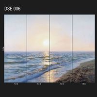 DSE-006
