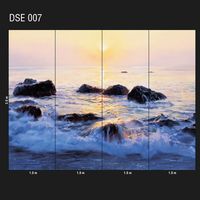 DSE-007